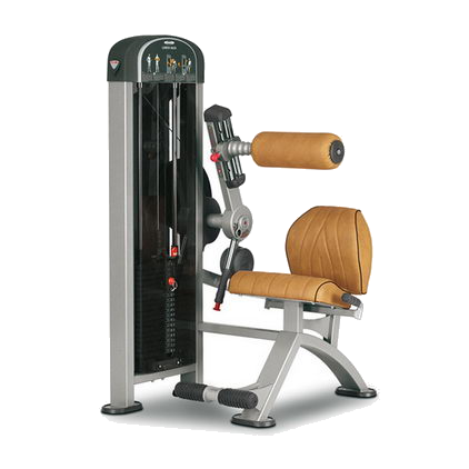Разгибание спины Panatta Lower back XP LUX