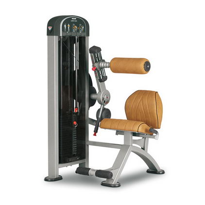 Разгибание спины Panatta Lower back XP LUX