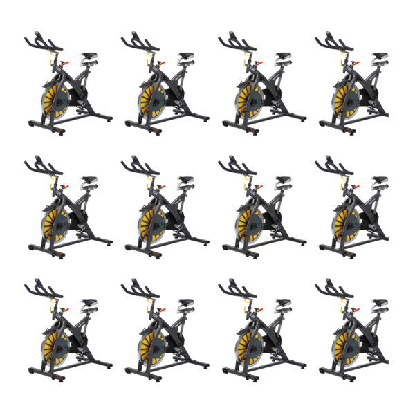 Комплект из 12 Спинбайков SportsArt C510